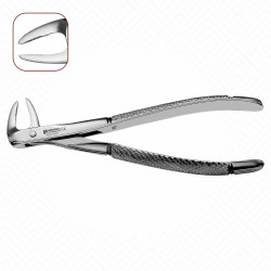 Pinça para Extração Dentária - Até 20% de desconto | New Med